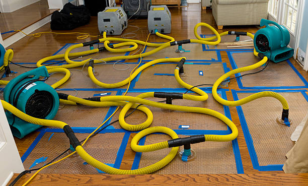 Professional Crawl Space Water Removal technician working in Clayton, WI